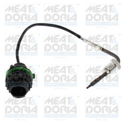 Sensor, exhaust gas temperature